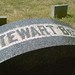 Samuel Stewart Photo 48