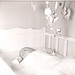 Steven Heys Photo 8