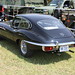 Mark Plunkett Photo 16