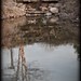 Troy Meeks Photo 20