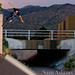 Mario Gonzales Photo 32