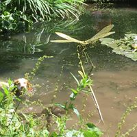 Susan Underhill Photo 25