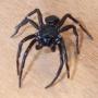 Nicholas Short Photo 21