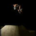 Jacob Mallory Photo 13