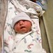 Mathew Conner Photo 17
