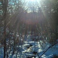 Beth Myers Photo 26