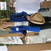 Ron Brill Photo 13