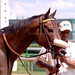 Christina Churchill Photo 25