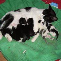 Tracey Skinner Photo 6