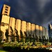 Conrad Mills Photo 7