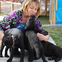 Judy Fritz Photo 27