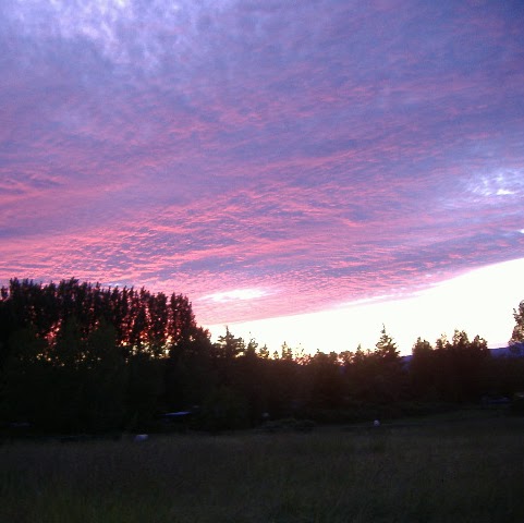 James Speiser Photo 9
