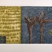 Ellen Hill Photo 14