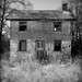 Ross Herrmann Photo 5