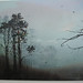 Elizabeth Magill Photo 17
