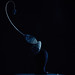 Nicholas Liu Photo 17