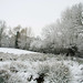 Edward Hedges Photo 10