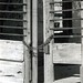 Dorothy Abbott Photo 31