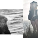 Cynthia Strand Photo 7