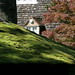 Joyce Roof Photo 13