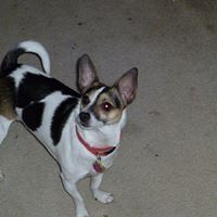 Anna Roberson Photo 4