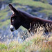 Donna Mcclure Photo 18