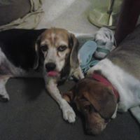 Julie Stepp Photo 6