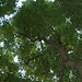 Jenny Mount Photo 11