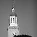 Howard Bell Photo 37