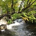 Julie Gagnon Photo 34