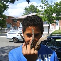 Aj Gallo Photo 7