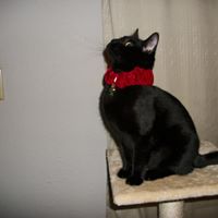 Lou Hodges Photo 4