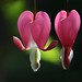 Julie Mims Photo 21