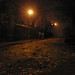 Wayne Hill Photo 13