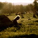 Heather Bridgers Photo 8