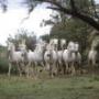 Christine Broadhurst Photo 10
