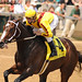 Rachel Downing Photo 11