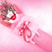 Rose Bear Photo 16