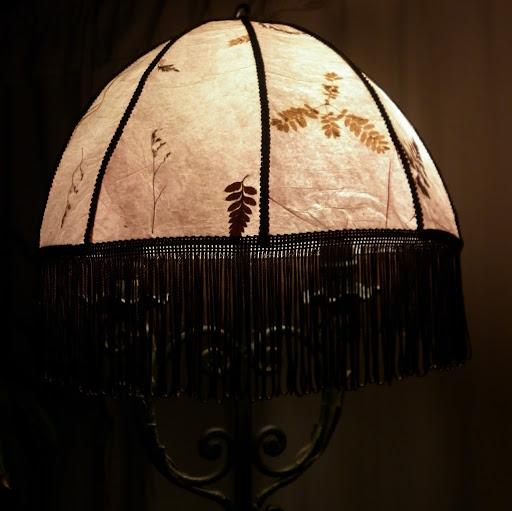 Luz Luna Photo 35