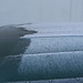 Becky Frost Photo 19