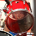 Allan Carter Photo 29