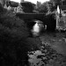 Alan George Photo 48