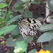 Jacob Spalding Photo 7