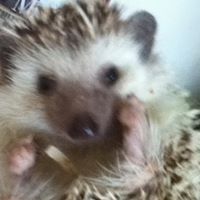 Ginger Stevenson Photo 2