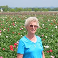 Patsy Helms Photo 4