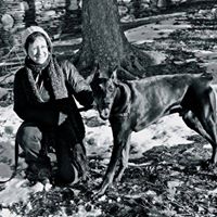 Gayle Sylvester Photo 3