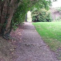 Elaine Green Photo 25