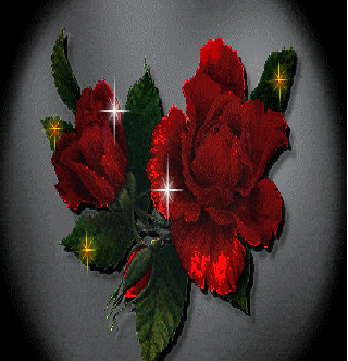 Nora Edwards Photo 5