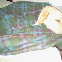 Leslie Tanner Photo 10