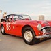 Ann Healey Photo 34